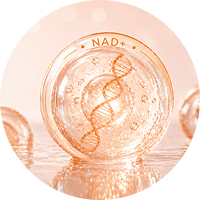 NAD+ - Activo Clínico Destacado